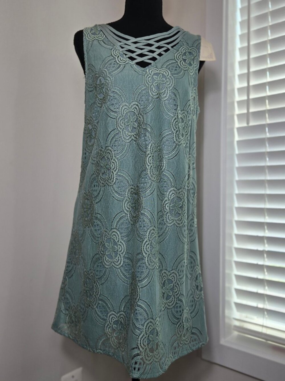 Entro Lace Overlay Dress Small NWT